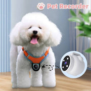 White fluffy dog wearing an orange harness with a pet recorder collar GPS camera attached for motion and location tracking